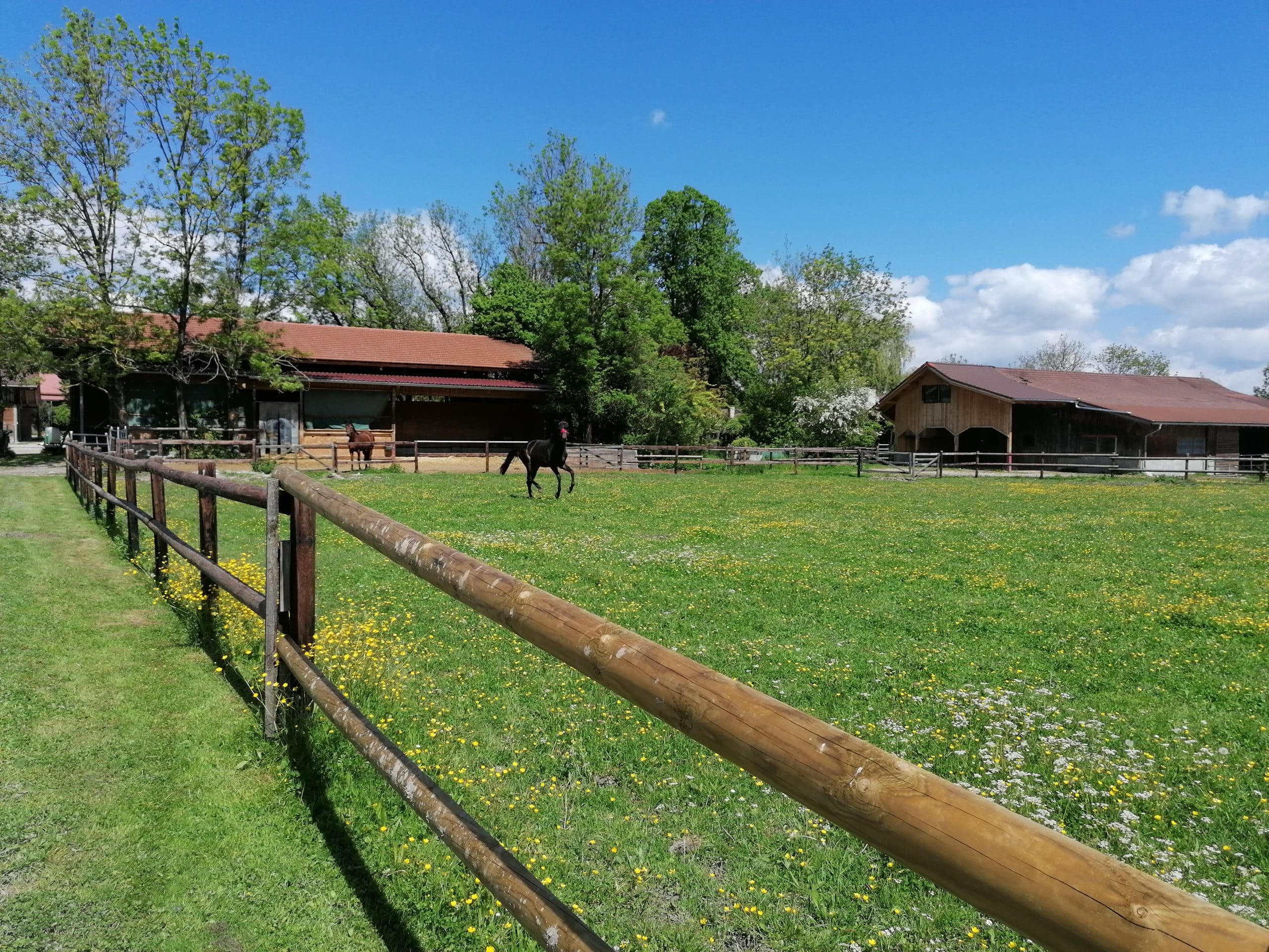Anlage (4)