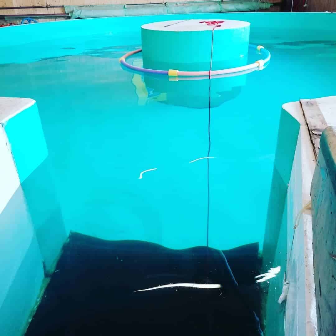 Schwimmbecken